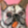 thumbnail-29.jpeg