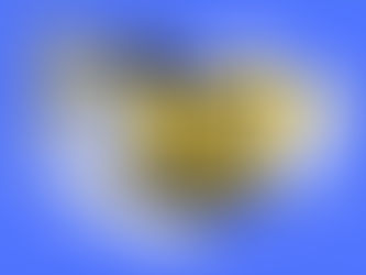 A megaphone emerges from a laptop with yellow screen, on blue background. Torn paper, grid, and text fragments add a dynamic feel.