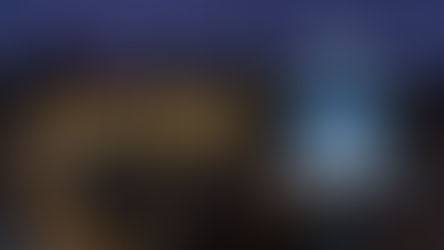 legendary pelts by legendary carpets with detroit lions pelt