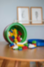 Francine Belotti Psicologia