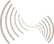 Grafismo_Instituto Bogalheira_FINAL-20.png