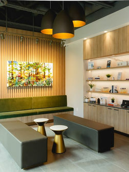 Elysian Health Waiting Room