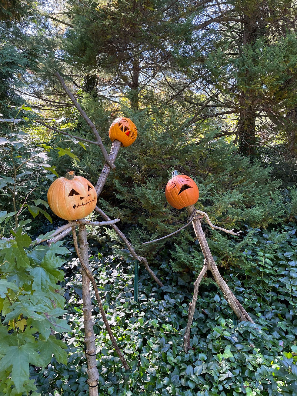 Fall-O-Ween at NYBG