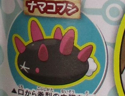 Another CoroCoro leak reveals another new pokemon