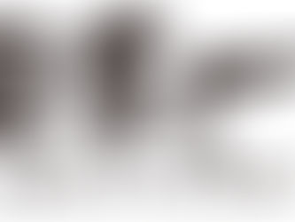 Nippon Ichi confirms it has Nintendo Switch projects in the works