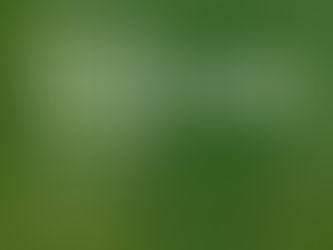 Dia da Freguesia de Belmonte