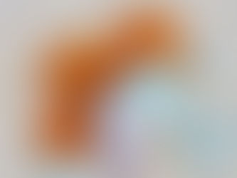 お中元やお盆の手土産に!夏のギフトご用意いたしました。