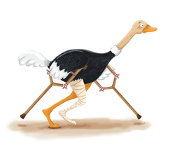 Livro Infantil Avestruz de Muletas