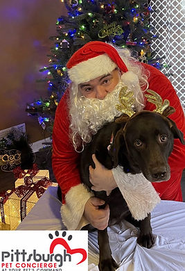 Pittsburgh_Pet_Concierge_Interior_Dog_Boarding_Dog_Daycare