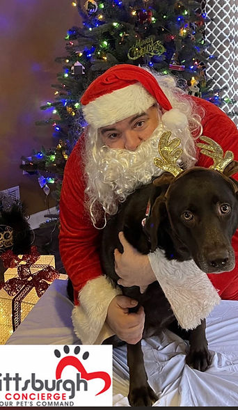 Pittsburgh_Pet_Concierge_Interior_Dog_Boarding_Dog_Daycare