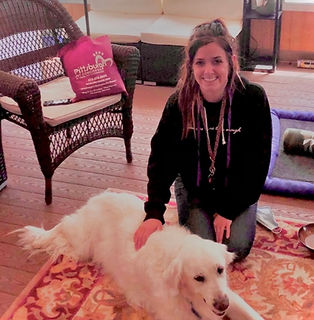 Pittsburgh_Pet_Concierge_Senior_Dog_Bording