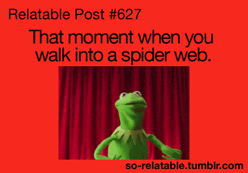 Spider Webs