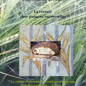 Les bienfaits des céréales