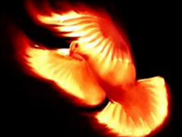Screenshot_2020-01-03-23-15-32.png