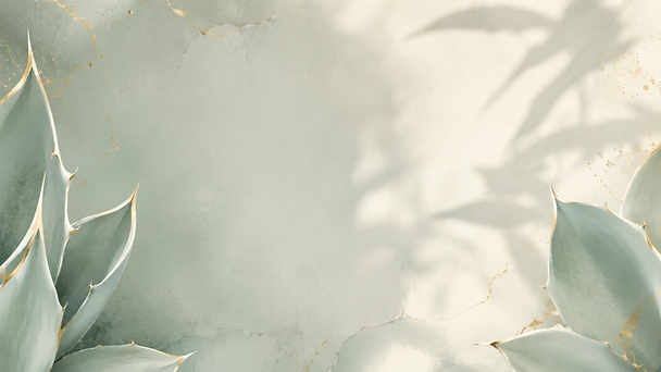 cdcaaf14-1916-4bee-9612-3485b101c8c0.png