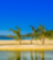 nile river uganda(2).png