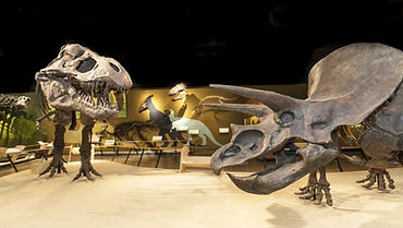 Dinos.jpg