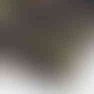 Detailed close-up of QILO logo on tiger stripe QILO EDC Mk. II shorts