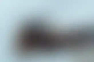 Black Irregular Defense FEER B5 SOPMOD 0.75" cheek riser, mounted on a B5 SOPMOD stock in FDE