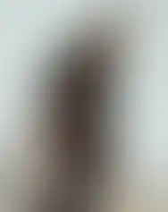 Side profile of a DEVGRU operator, wearing the SC Irregulars TRISAGION S/S shirt and holding an AR15 in his hand