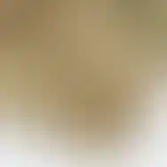 QILO logo on the front part of the QILO EDC Mk. II Tropentarn shorts