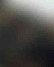 Detailed close-up of the button and inner label on tiger stripe QILO EDC Mk. II shorts