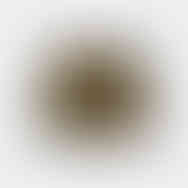 QILO x Noveske EDC Mk. II Short in Agent Orange Tiger back view