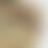 Close-up details of QILO x WRMFZY Driftwood Pants in Tropentarn with WRMFZY logo