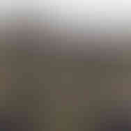 Design details on tiger stripe QILO EDC Mk. II shorts