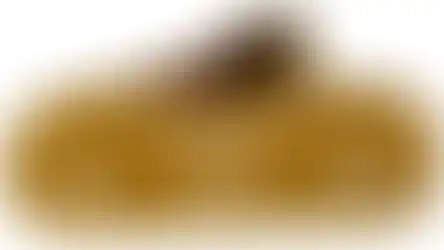 Top view of True North Concepts GripStop-K handstop in FDE, showing True North Concepts logo