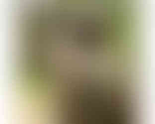 Special forces operators standing in woodlands, using full Multicam gear, and a helmets with S&S Precision Manta