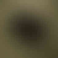 Studio photo of QILO EDC shorts in British DPM camo pattern with a suppressed pistol laid over it, on a light brown floor