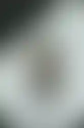 MCX rifle equipped with red dot, suppressor, sling and a black Irregular Defense FEER MCX MF (Minimalist Folding)