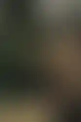 Irregular Defense Hot Sock Suppressor Cover in Irregular Disruptive Hinterland mounted on a weapon suppressor.