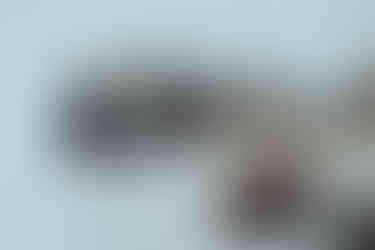 0.25" tall FDE Irregular Defense FDE FEER B5 BRAVO stock riser attached to a BRAVO stock on an AR15