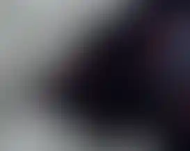 A detailed view of the "SCI Irregulars" wording on the sleeve of the SC Irregulars JESUS PRAYER S/S shirt. Text is red.