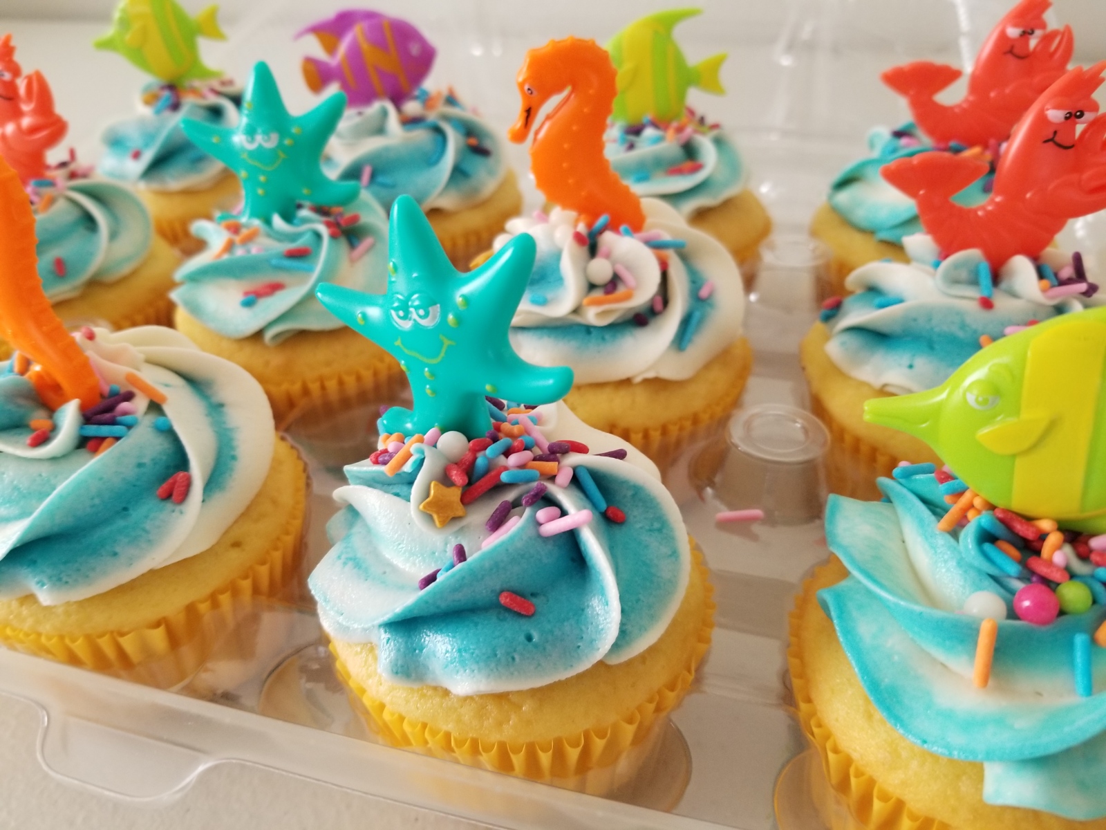 Aquatic Cupcakes