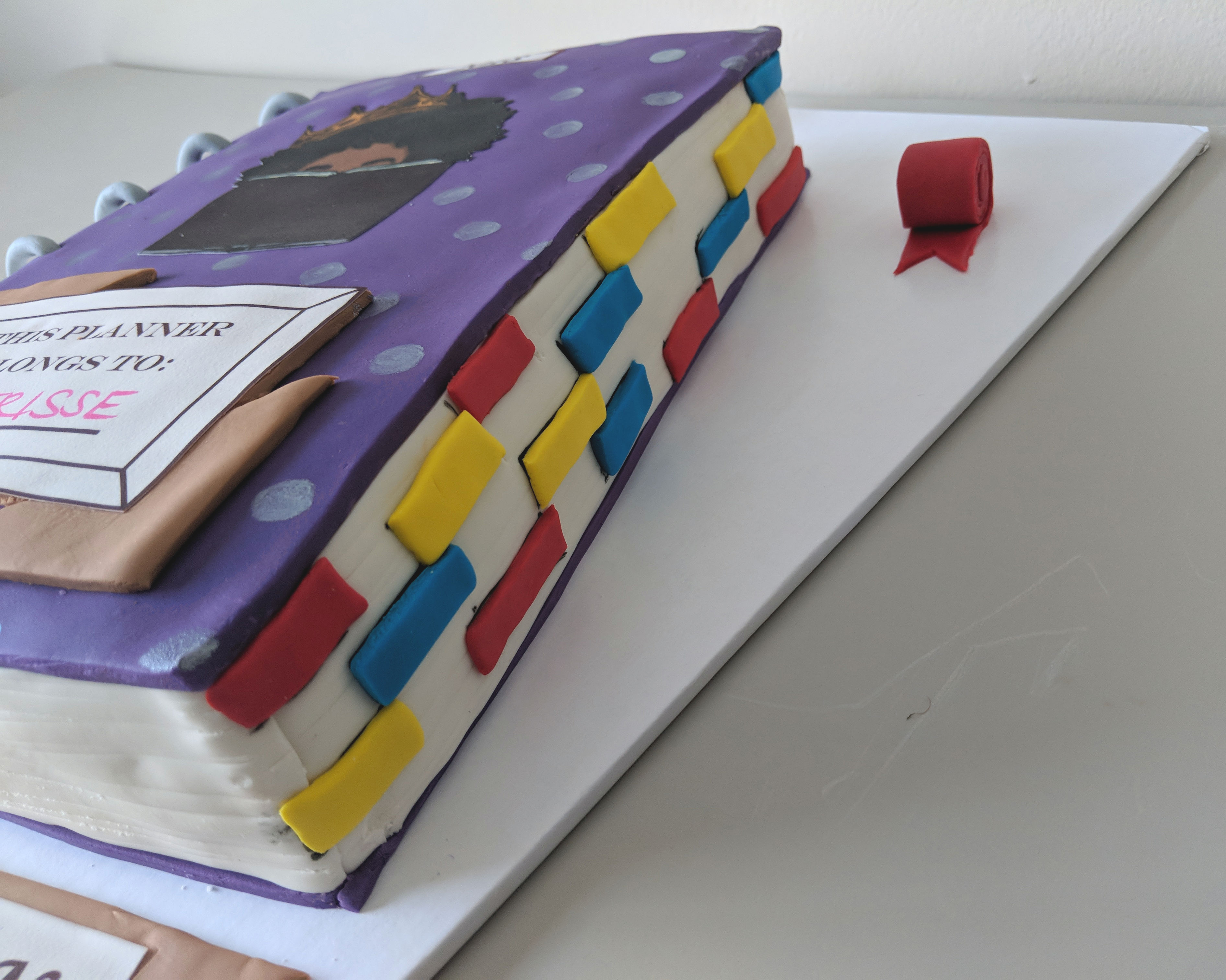 Planner Addict Birthday Cake (side)