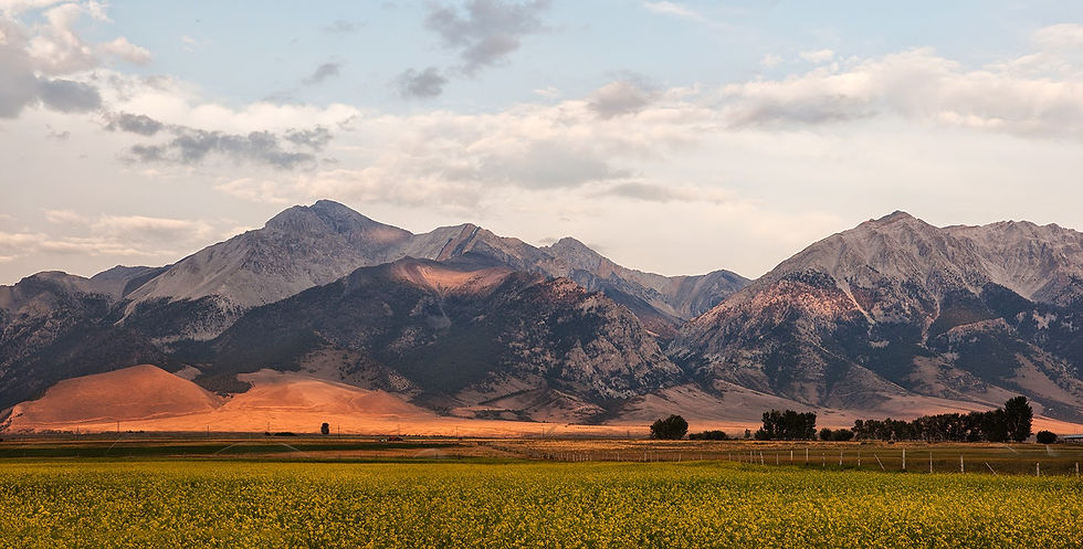Golden fields extend beneath the towering Mount Borah on the left, showcasing the tranquil beauty of the landscape. Photo by Larry P. Prescott.