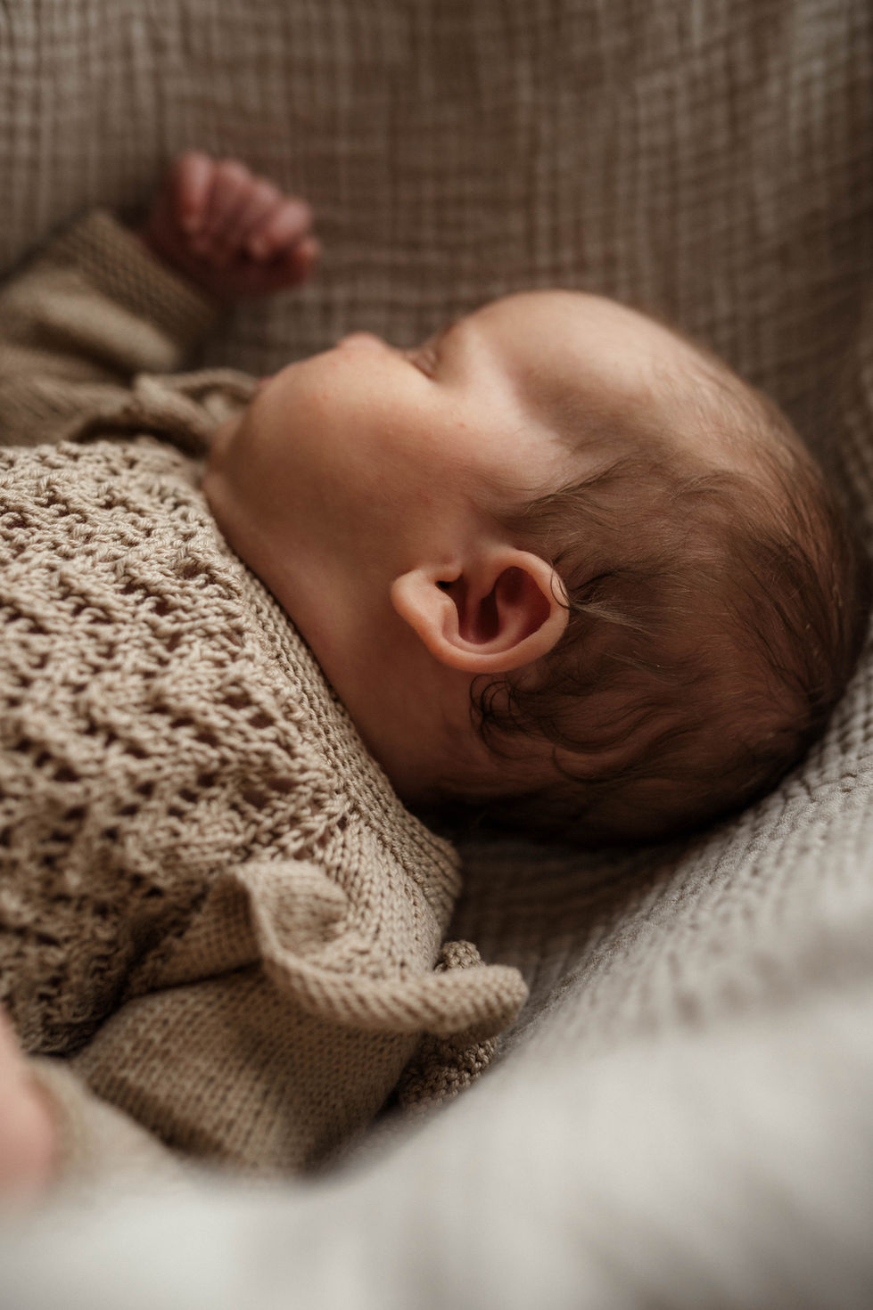 volbild_Familie_Feldewerth (30)