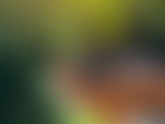 Den svære begyndelse - bæredygtighed