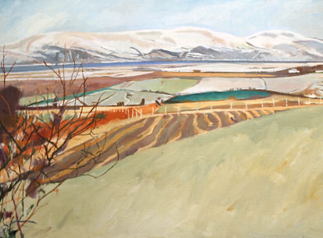 Borth Landscape_sm.jpg