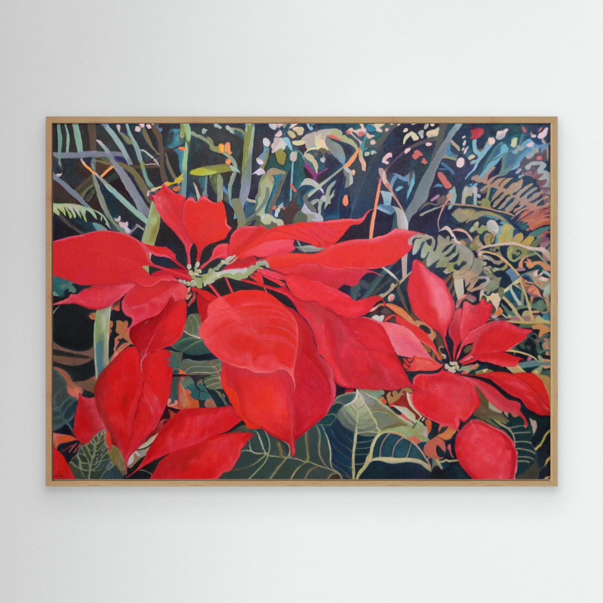 Poinsettia