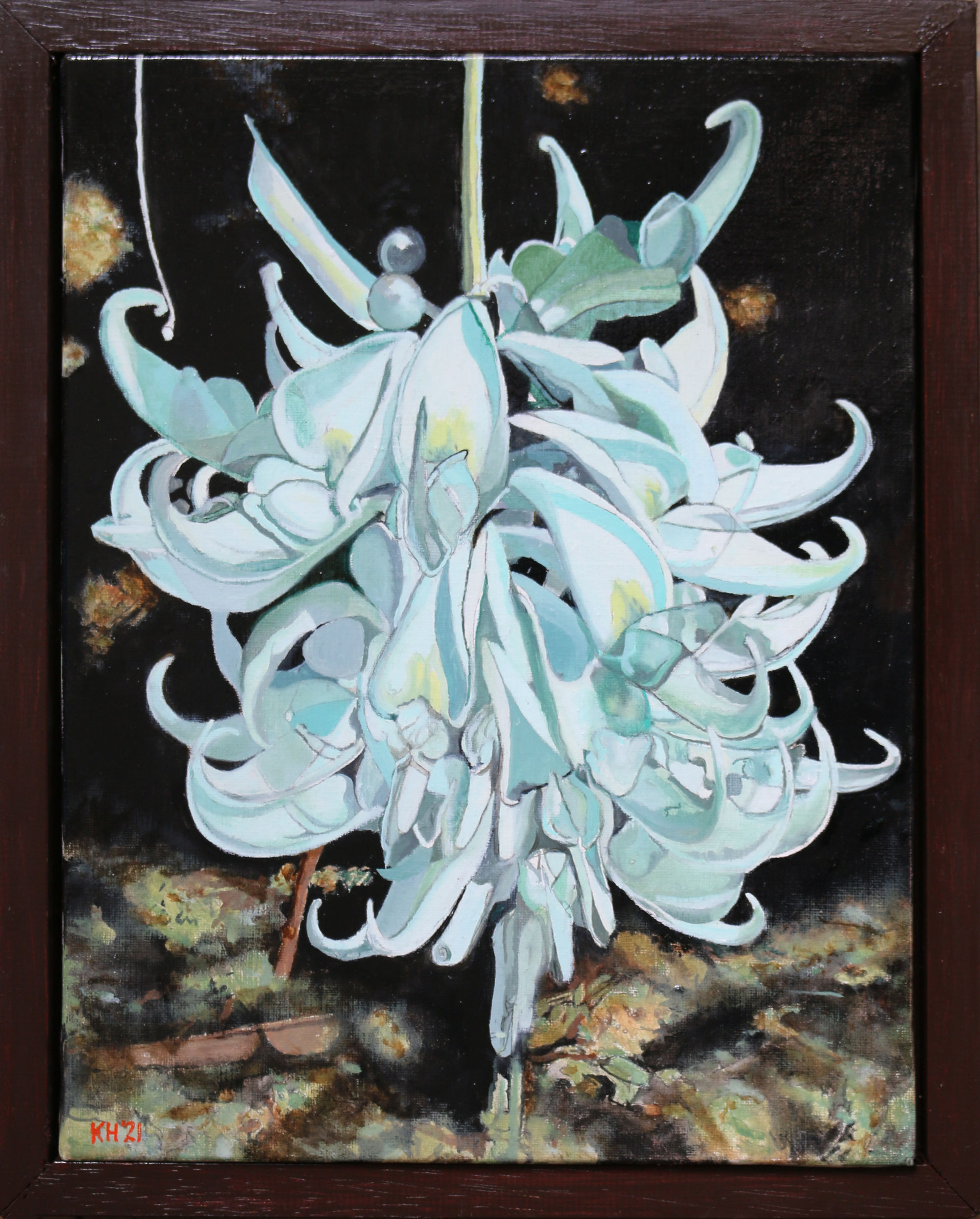 Tahitian Jade Orchid