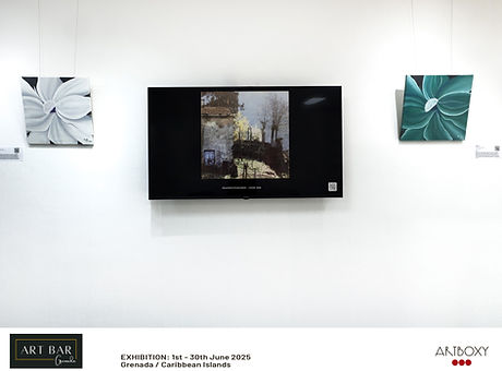 exhibition photographs.png