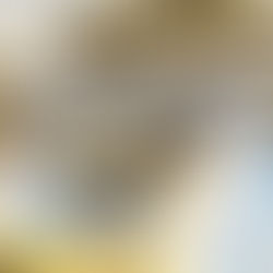 “现金为王” 还是“现金是累赘”？