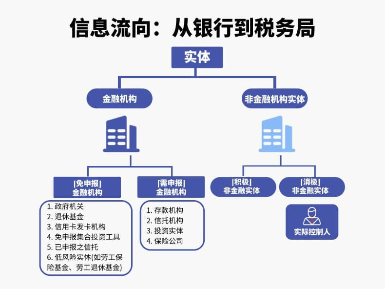 信息流向:从银行到税务局