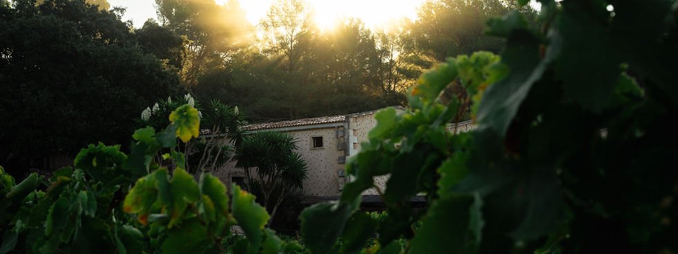 BodegaIóN-4.jpg