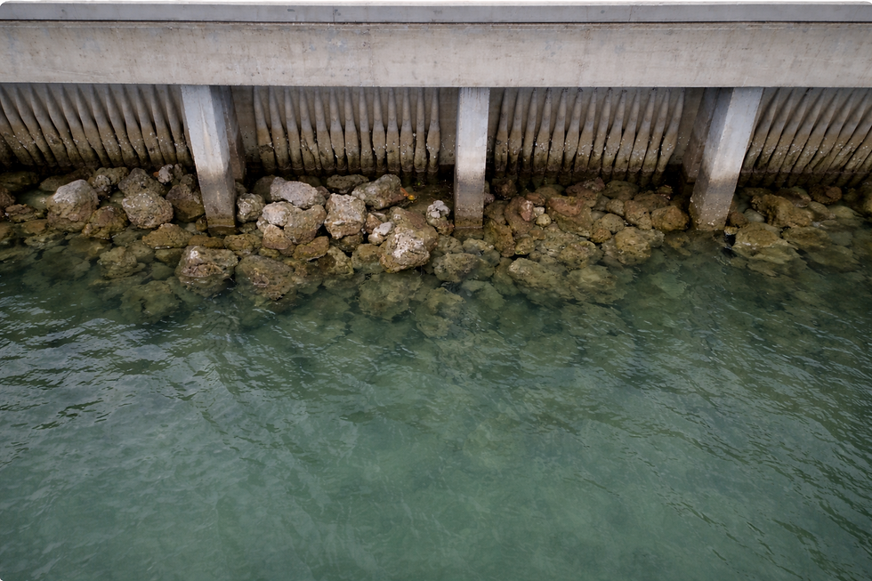 ChatGPT Image 11 mar 2026, 16_19_03.png