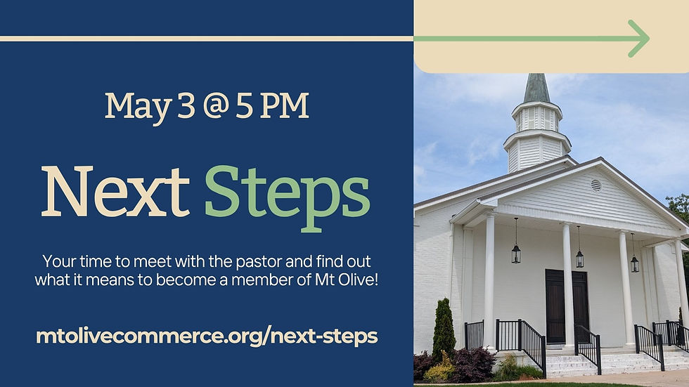 Next Steps (May 3rd)